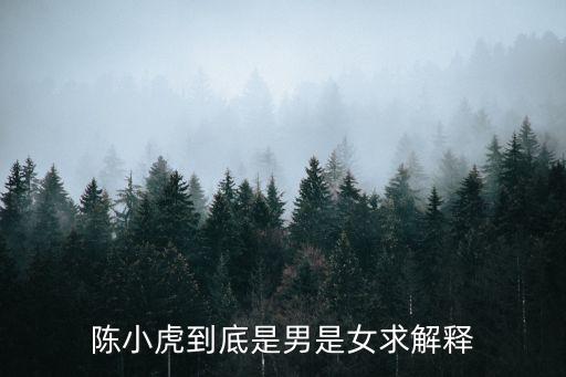 陳小虎到底是男是女求解釋