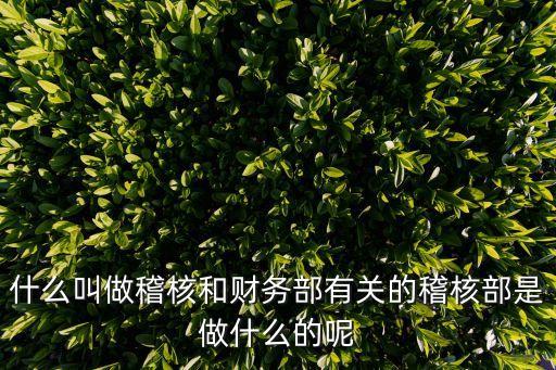 財(cái)務(wù)稽核，什么叫做稽核和財(cái)務(wù)部有關(guān)的稽核部是做什么的呢