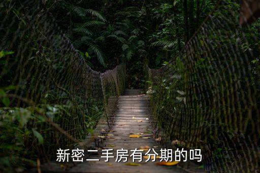 新密二手房有分期的嗎