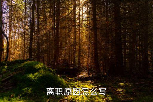 離職原因怎么說(shuō)，離職理由怎么寫好