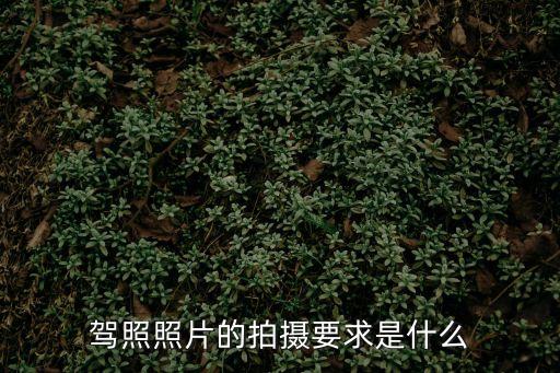 駕駛證照片有什么要求，駕照照片的拍攝要求是什么