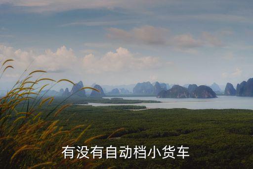 自動(dòng)擋貨車，有沒有自動(dòng)檔小貨車