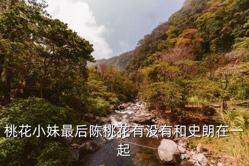 桃花小妹最后陳桃花有沒有和史朗在一起