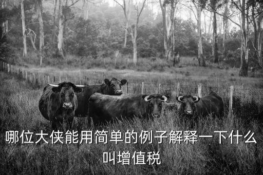 哪位大俠能用簡單的例子解釋一下什么叫增值稅