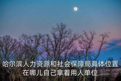 哈爾濱人力資源和社會保障局具體位置在哪兒自己拿著用人單位