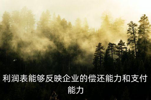 利潤表能夠反映企業(yè)的償還能力和支付能力