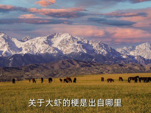關(guān)于大蝦的梗是出自哪里