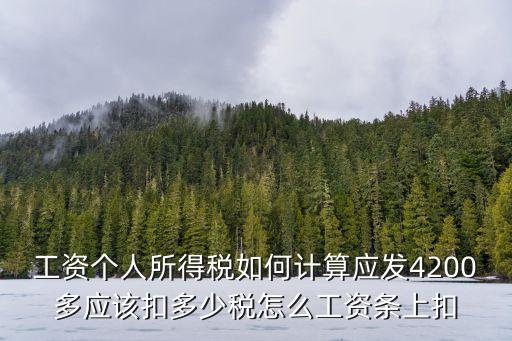 工資個人所得稅如何計算應發(fā)4200多應該扣多少稅怎么工資條上扣
