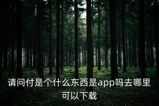 兀支付，請問付是個什么東西是app嗎去哪里可以下載