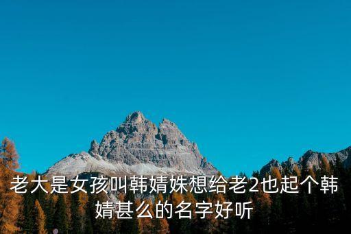 老大是女孩叫韓婧姝想給老2也起個韓婧甚么的名字好聽
