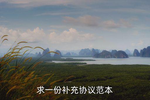 求一份補(bǔ)充協(xié)議范本
