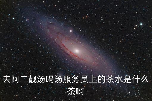阿二靚湯，去阿二靚湯喝湯服務(wù)員上的茶水是什么茶啊
