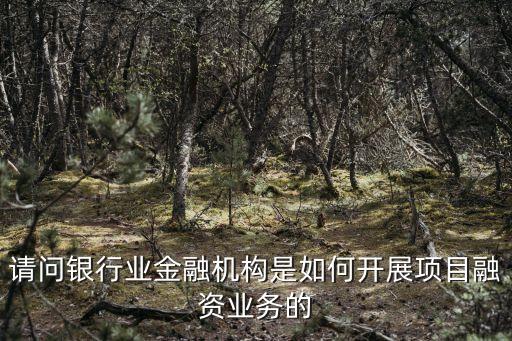 請(qǐng)問(wèn)銀行業(yè)金融機(jī)構(gòu)是如何開(kāi)展項(xiàng)目融資業(yè)務(wù)的