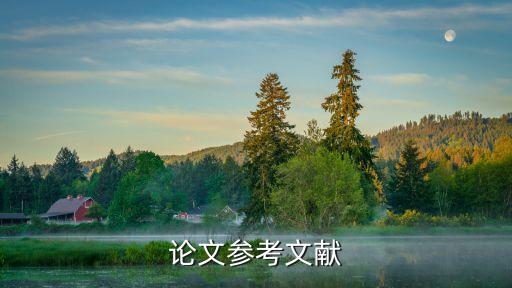 高小輝，論文參考文獻(xiàn)