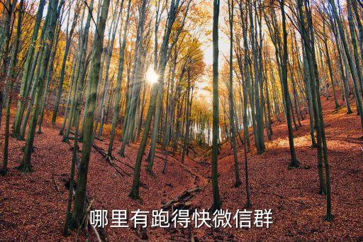 跑得快群，哪里有跑得快微信群