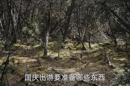國(guó)慶出行，國(guó)慶節(jié)的出行計(jì)劃是什么