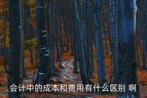 成本和費(fèi)用的區(qū)別，成本與費(fèi)用的區(qū)別