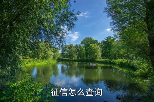 銀行征信怎么查，征信怎么查詢