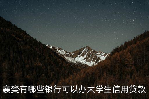 襄樊有哪些銀行可以辦大學(xué)生信用貸款