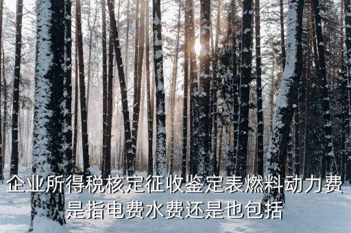 燃料動力費(fèi)，企業(yè)所得稅核定征收鑒定表燃料動力費(fèi)是指電費(fèi)水費(fèi)還是也包括