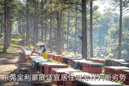 寶利豪庭，深圳市寶安區(qū)松崗鎮(zhèn)松崗街道樓崗大道寶利豪庭一號松崗天虹乘坐幾路