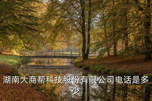 湖南大商幫科技股份有限公司電話是多少