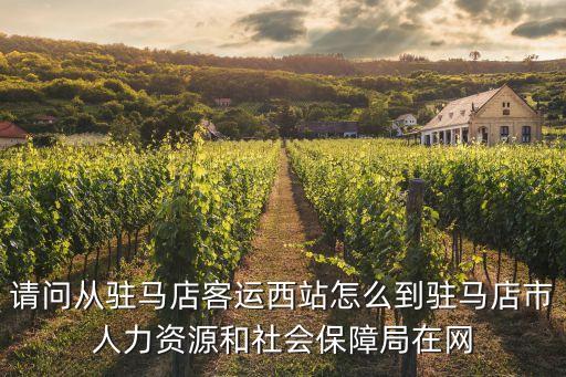 駐馬店人力資源和社會保障局，駐馬店社保局在哪
