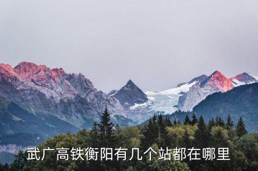 武廣高鐵衡陽有幾個站都在哪里