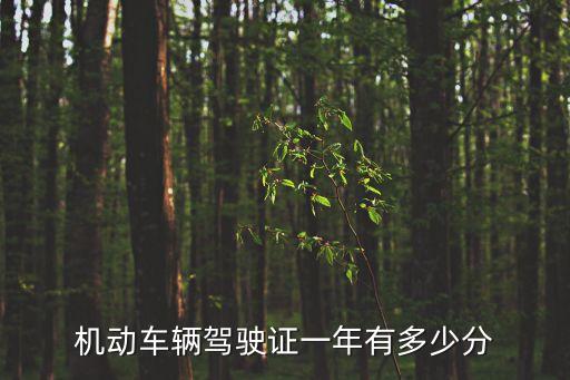 機(jī)動(dòng)車輛駕駛證一年有多少分