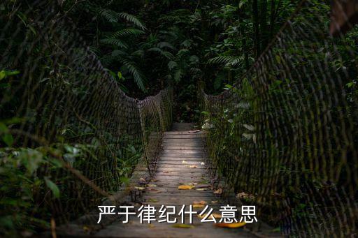 律紀(jì)，四大紀(jì)律八項(xiàng)要求中的四大紀(jì)律是指