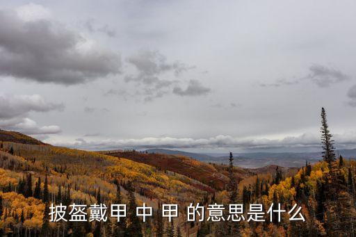 戴甲，披盔戴甲的含義