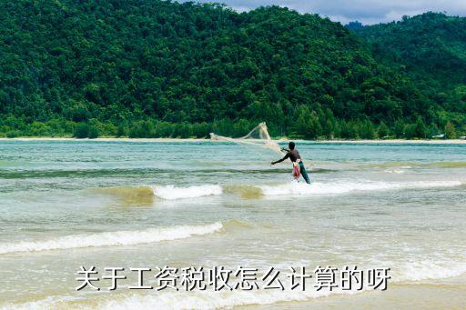 關(guān)于工資稅收怎么計算的呀
