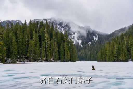 劉金才，劉金才是不入流的江湖畫家是這樣嗎