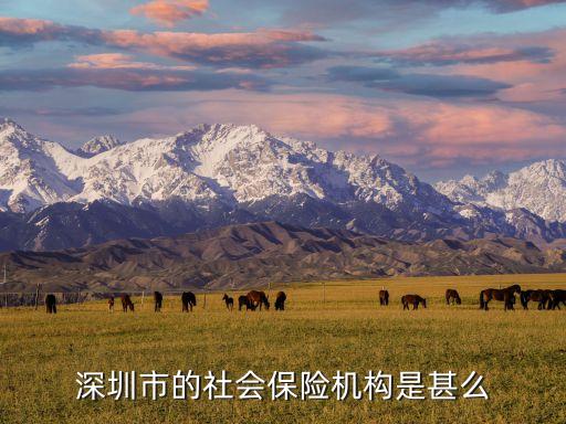 深圳市社會(huì)保險(xiǎn)基金管理，深圳市的社會(huì)保險(xiǎn)機(jī)構(gòu)是甚么