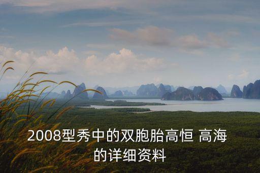 2008型秀中的雙胞胎高恒 高海 的詳細(xì)資料