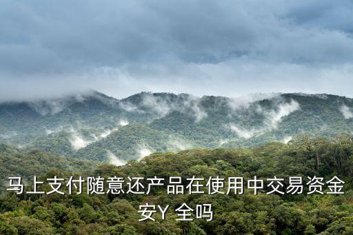 馬上支付，馬上支付隨意還產(chǎn)品在使用中交易資金安Y 全嗎