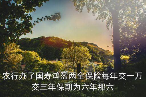 農行辦了國壽鴻盈兩全保險每年交一萬交三年保期為六年那六