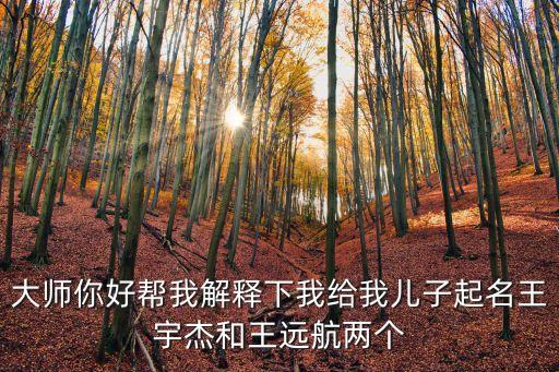 大師你好幫我解釋下我給我兒子起名王宇杰和王遠(yuǎn)航兩個