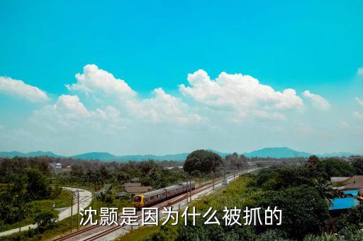 沈顥，沈顥是因?yàn)槭裁幢蛔サ?/></a></span><span id=
