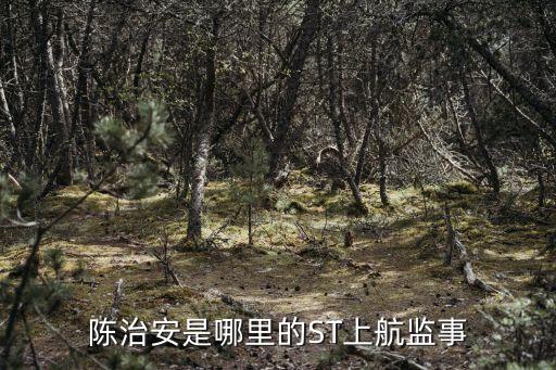 陳治安，陳保明怎么做藏頭詩