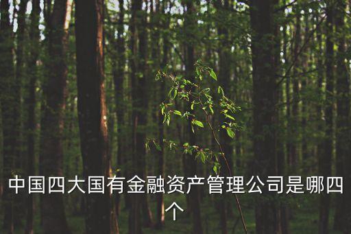 中國(guó)四大國(guó)有金融資產(chǎn)管理公司是哪四個(gè)