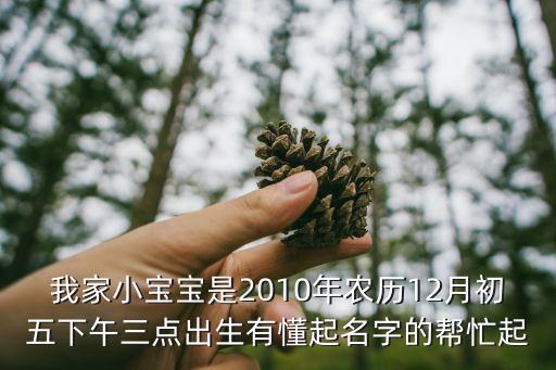 我家小寶寶是2010年農(nóng)歷12月初五下午三點(diǎn)出生有懂起名字的幫忙起