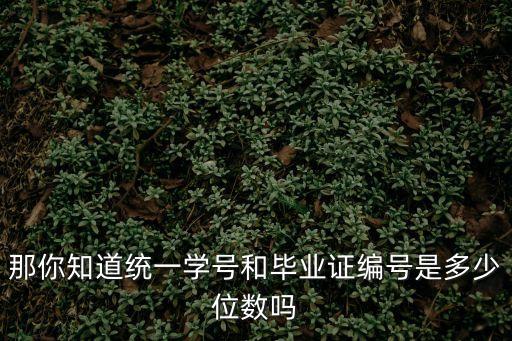 那你知道統(tǒng)一學號和畢業(yè)證編號是多少位數(shù)嗎