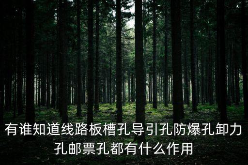 郵票孔，手機(jī)所謂的郵票孔是指什么