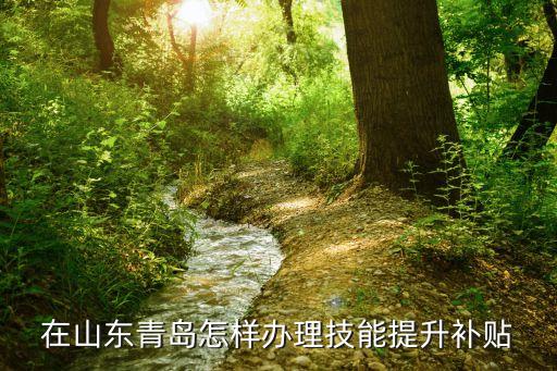 技能提升補貼申請，成都失業(yè)保險技能提升補貼需要怎樣的辦理條件