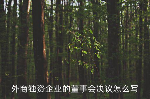 董事會(huì)決議范本，外商獨(dú)資企業(yè)的董事會(huì)決議怎么寫(xiě)
