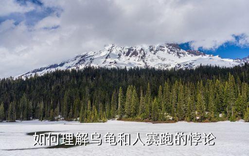 烏龜悖論，烏龜問題的公式