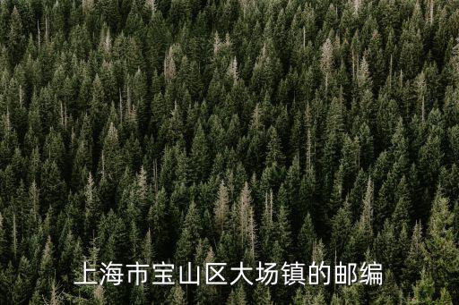 上海市寶山區(qū)大場(chǎng)鎮(zhèn)的郵編