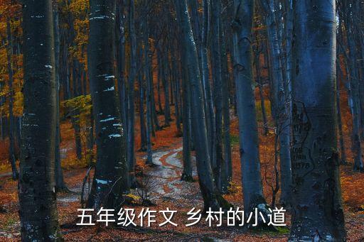 五年級(jí)作文 鄉(xiāng)村的小道