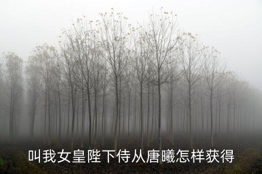 叫我女皇陛下侍從唐曦怎樣獲得